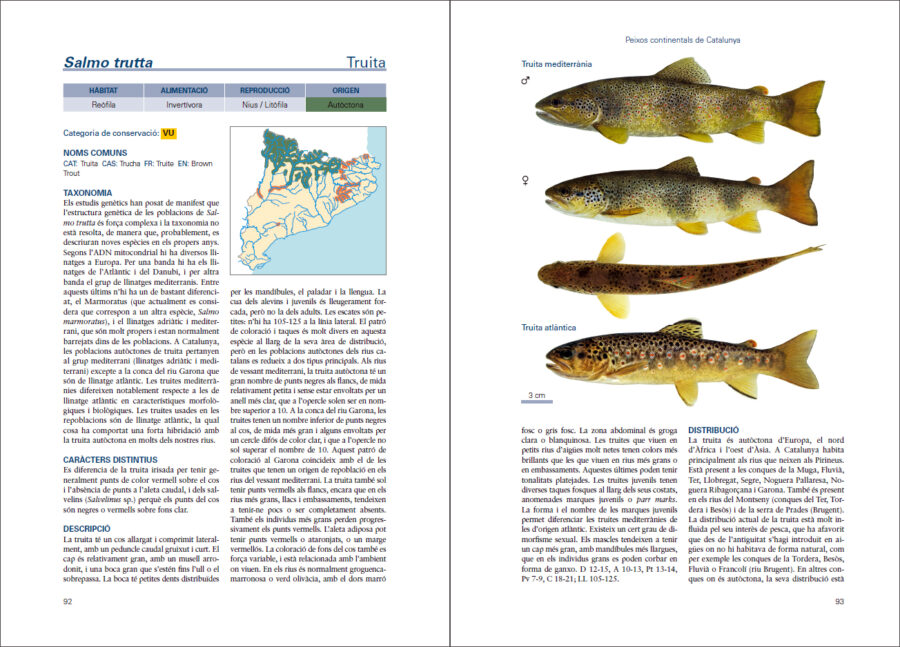 Peixos continentals de Catalunya pàgina de mostra